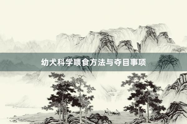 幼犬科学喂食方法与夺目事项