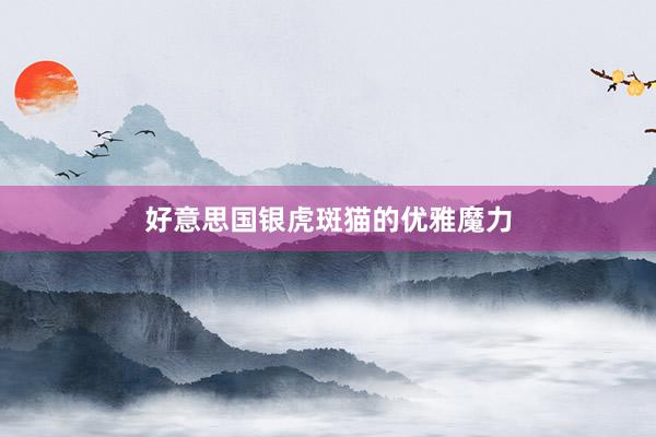 好意思国银虎斑猫的优雅魔力