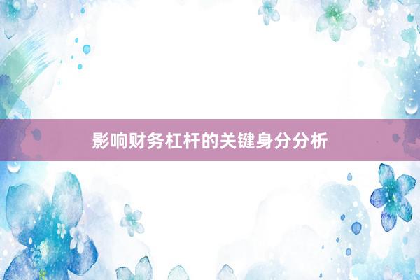 影响财务杠杆的关键身分分析